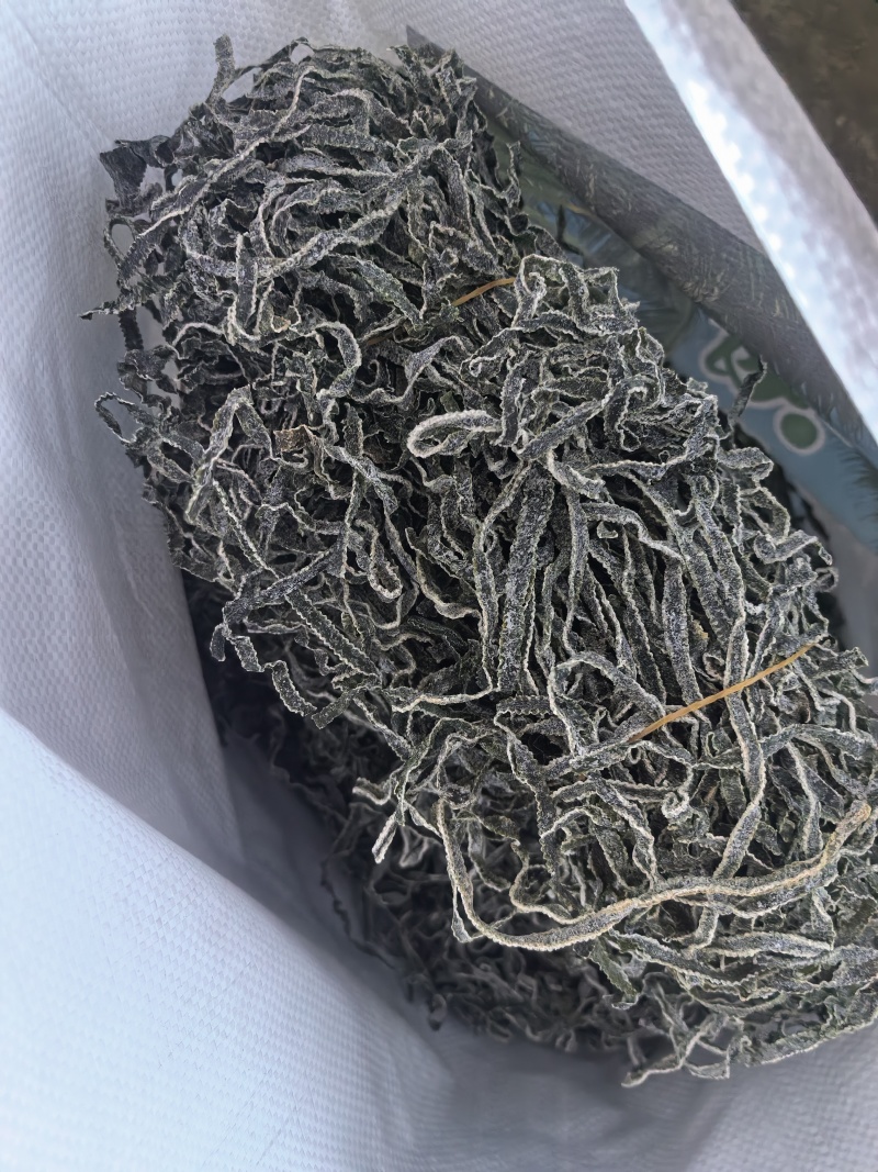 海带丝干海带丝干海带半干海带头，
