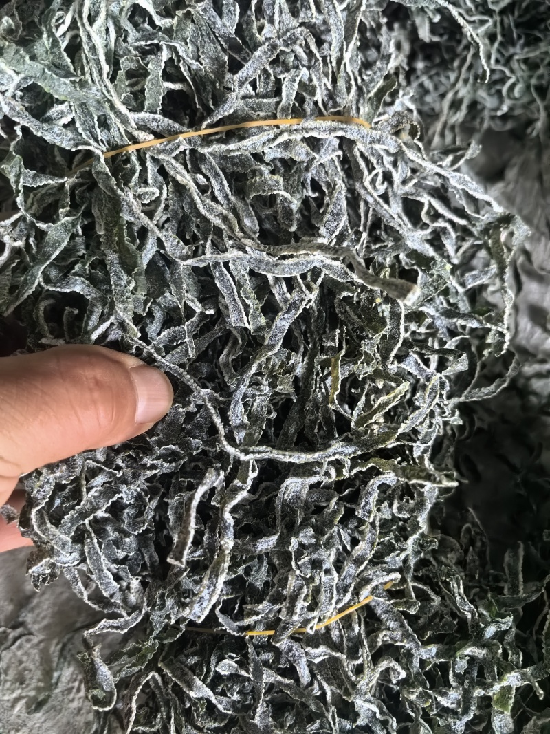 海带丝干海带丝干海带半干海带头，
