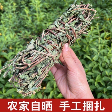 金银花藤
