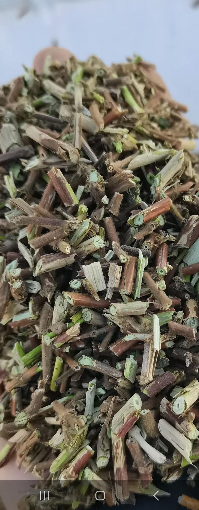 金银花藤