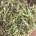 花生秧，养殖饲料，秸秆原料，大量现货货源充足