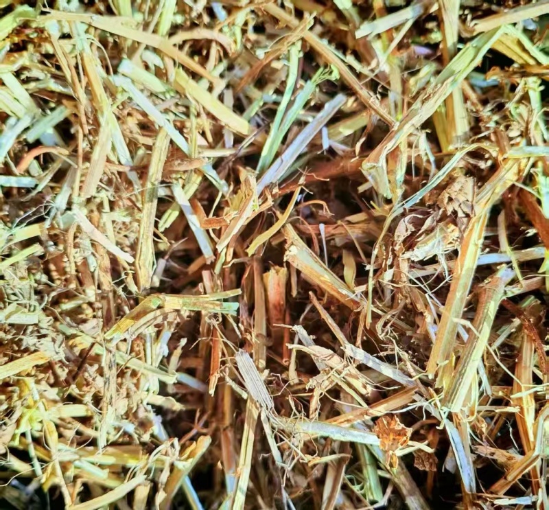 花生秧，养殖饲料，秸秆原料，大量现货货源充足