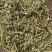 花生秧，养殖饲料，秸秆原料，大量现货货源充足