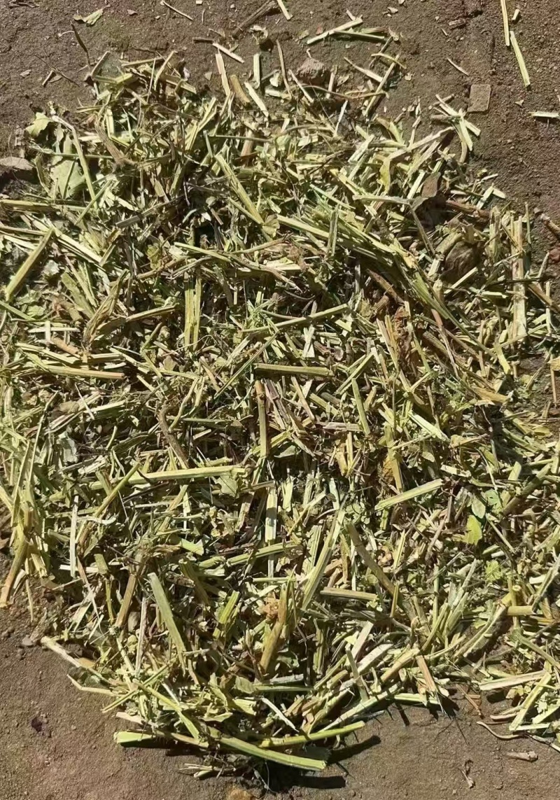 花生秧，养殖饲料，秸秆原料，大量现货货源充足