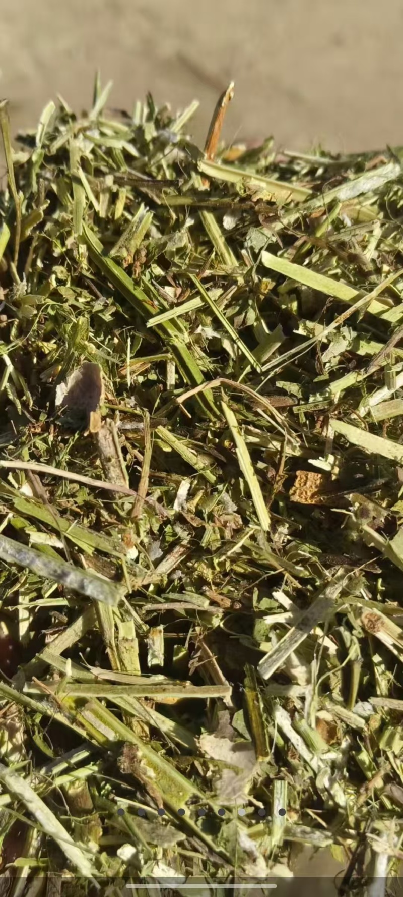 花生秧，养殖饲料，秸秆原料，大量现货货源充足