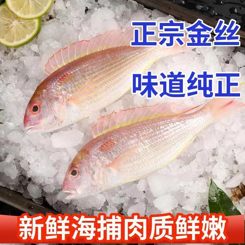 红杉鱼批发