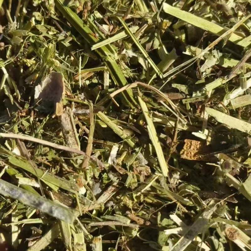 花生秧稻草，大量现货货源充足，质量保证全国发货