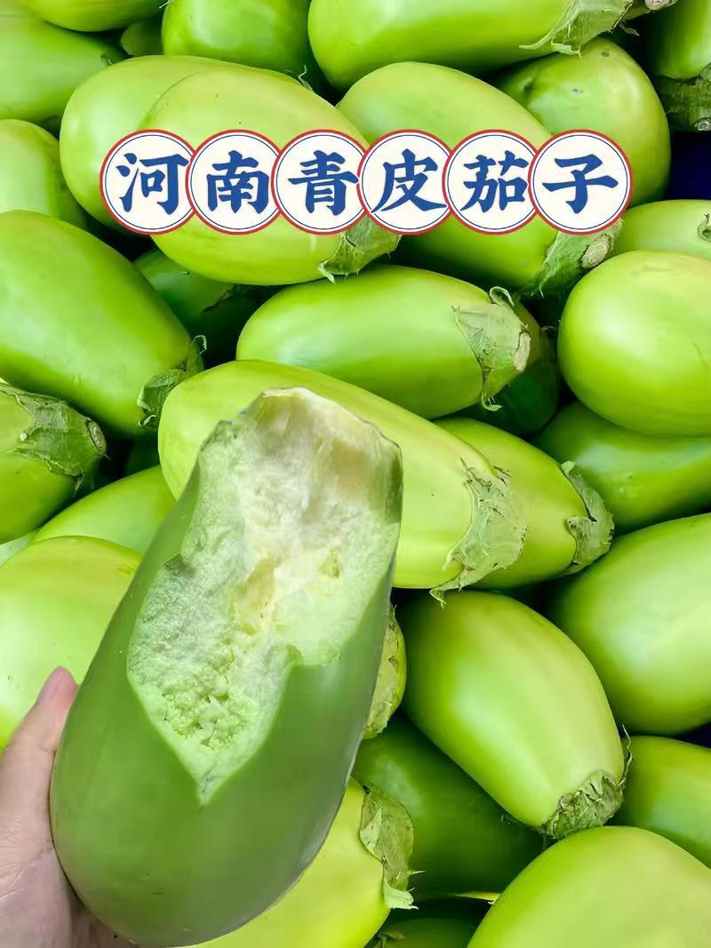 青茄，品质保证可视频看货河南中牟发货支持尾款到付