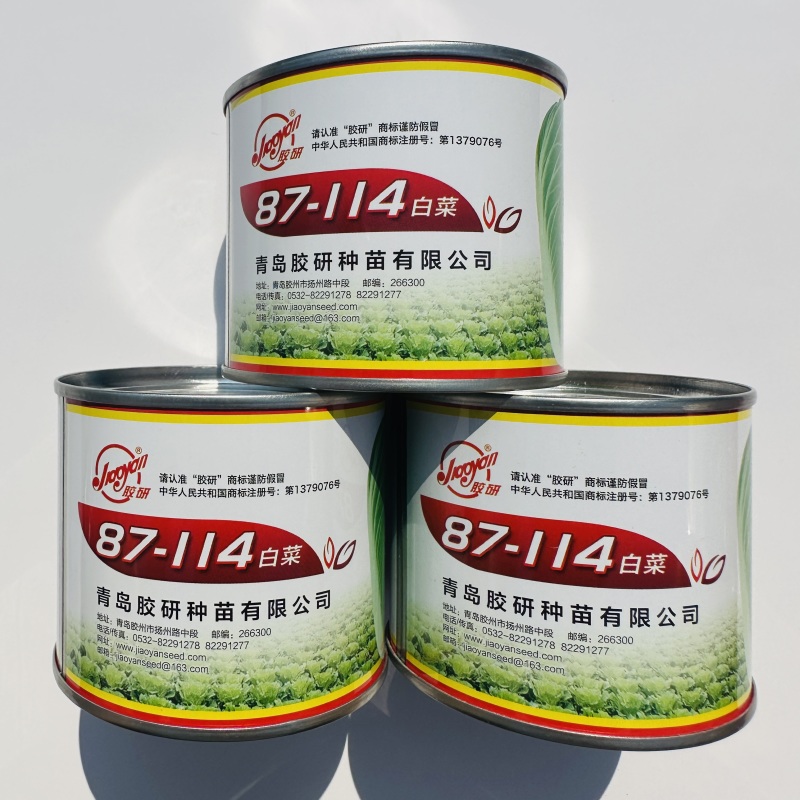 精品杂交大白菜种籽新包装结球紧实耐热耐寒耐运输高产白菜种