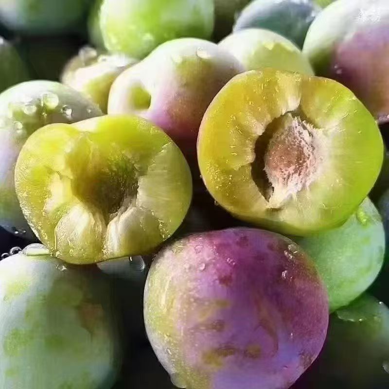 云南地理标志性产品半边红李子