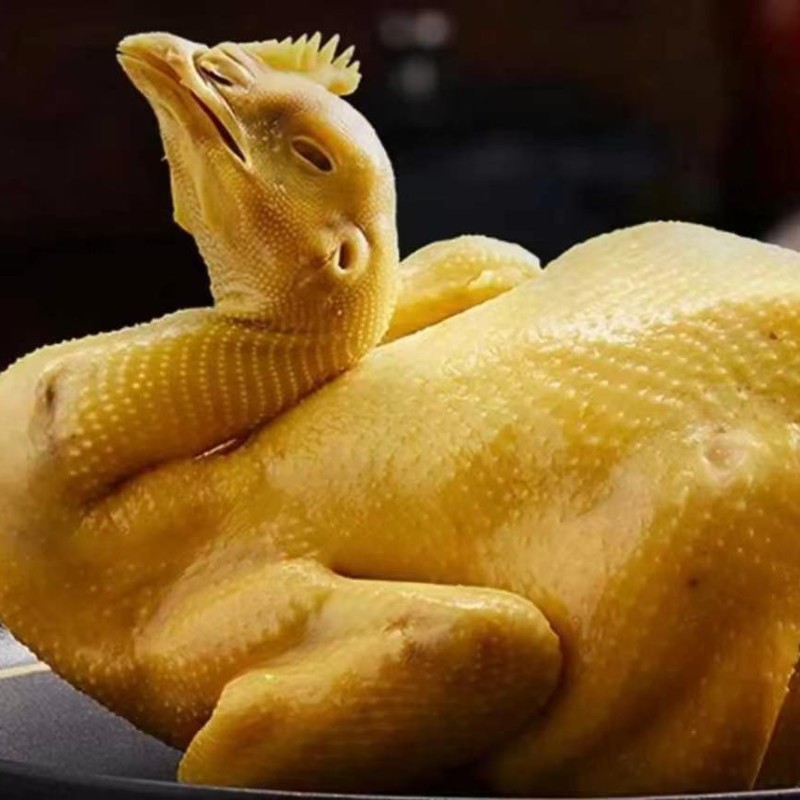 红毛老母鸡淘汰蛋鸡脆皮手撕鸡盐焗鸡椒麻鸡煲汤专用老鸡
