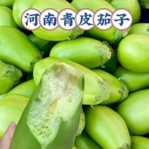 青茄，品质保证可视频看货河南中牟发货支持尾款到付
