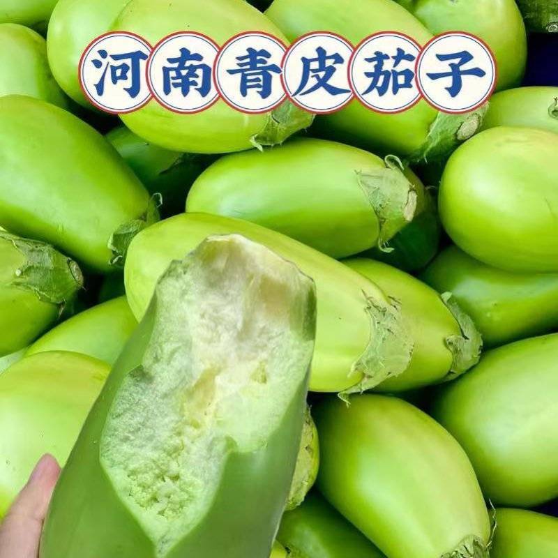 青茄，品质保证可视频看货河南中牟发货支持尾款到付