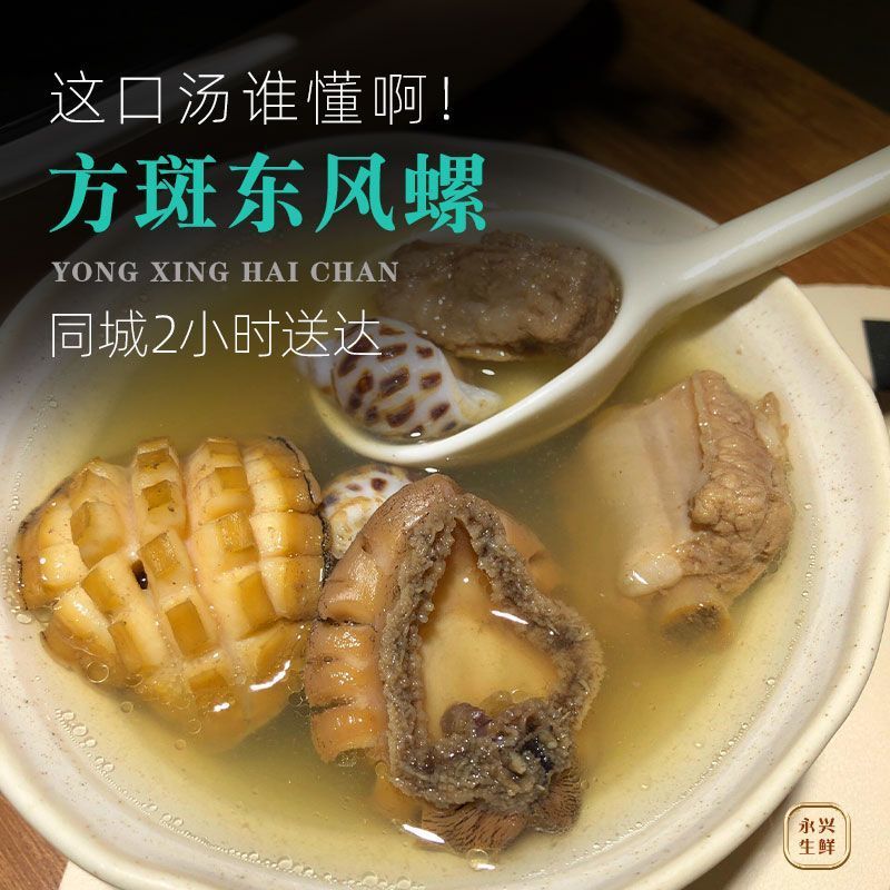 鲜活海南花螺方斑大花螺东风螺正宗花螺活体泥螺红螺甜螺贝壳活发
