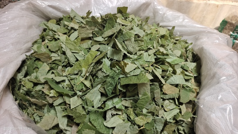 淫羊藿东北去梗纯叶无掺杂各种规格2斤起包邮