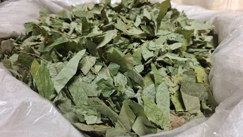淫羊藿东北去梗纯叶无掺杂各种规格2斤起包邮