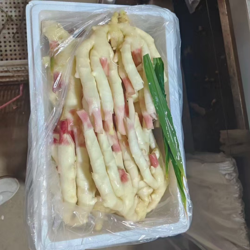 红芽姜