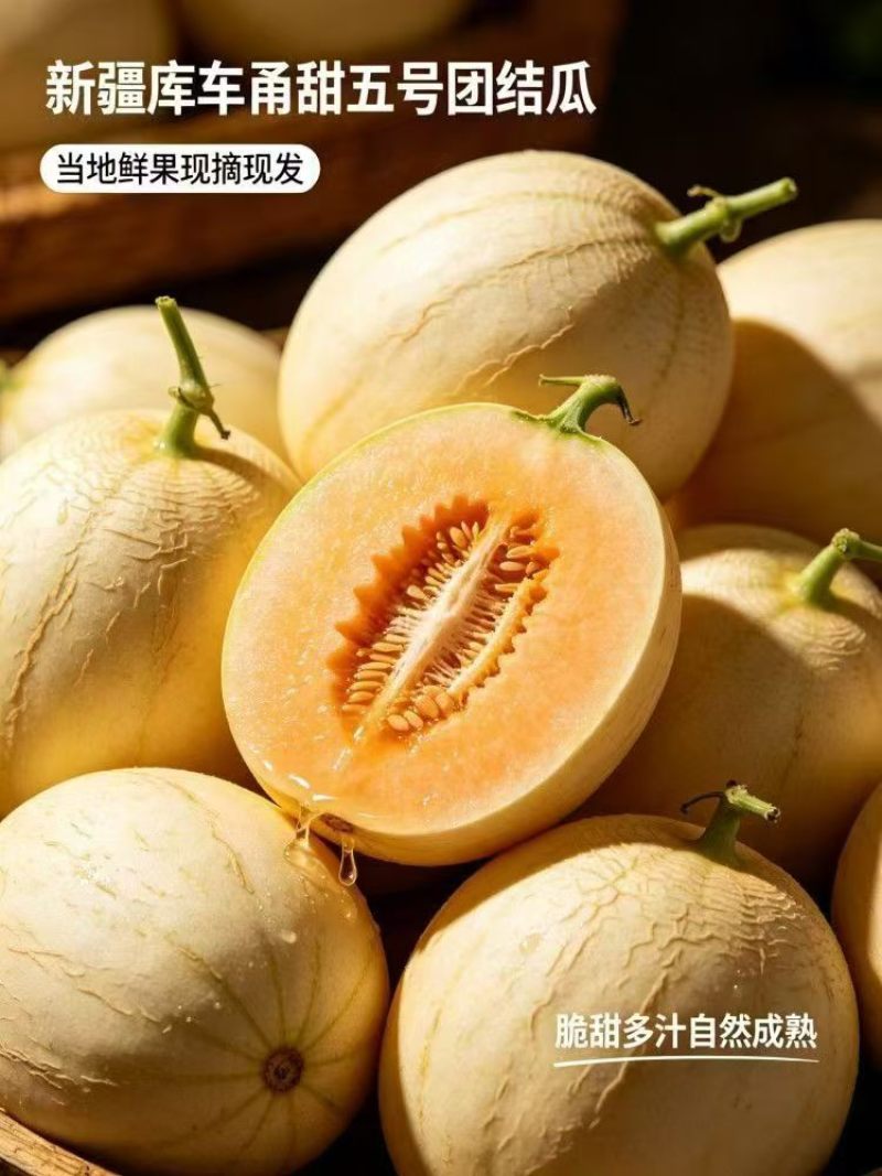 推荐新疆甬甜五号蜜瓜，支持一件代发，品质有保障欢迎采购