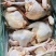 冰鲜三黄鸡妃子凤烤鸡专用鸡肉佛山源头