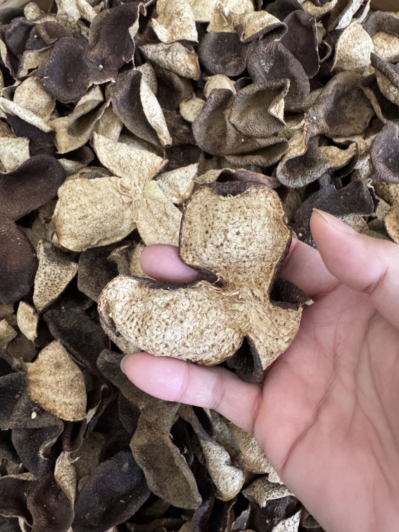 新会狗腩皮果农皮断皮批发价碎陈皮干仓老陈皮