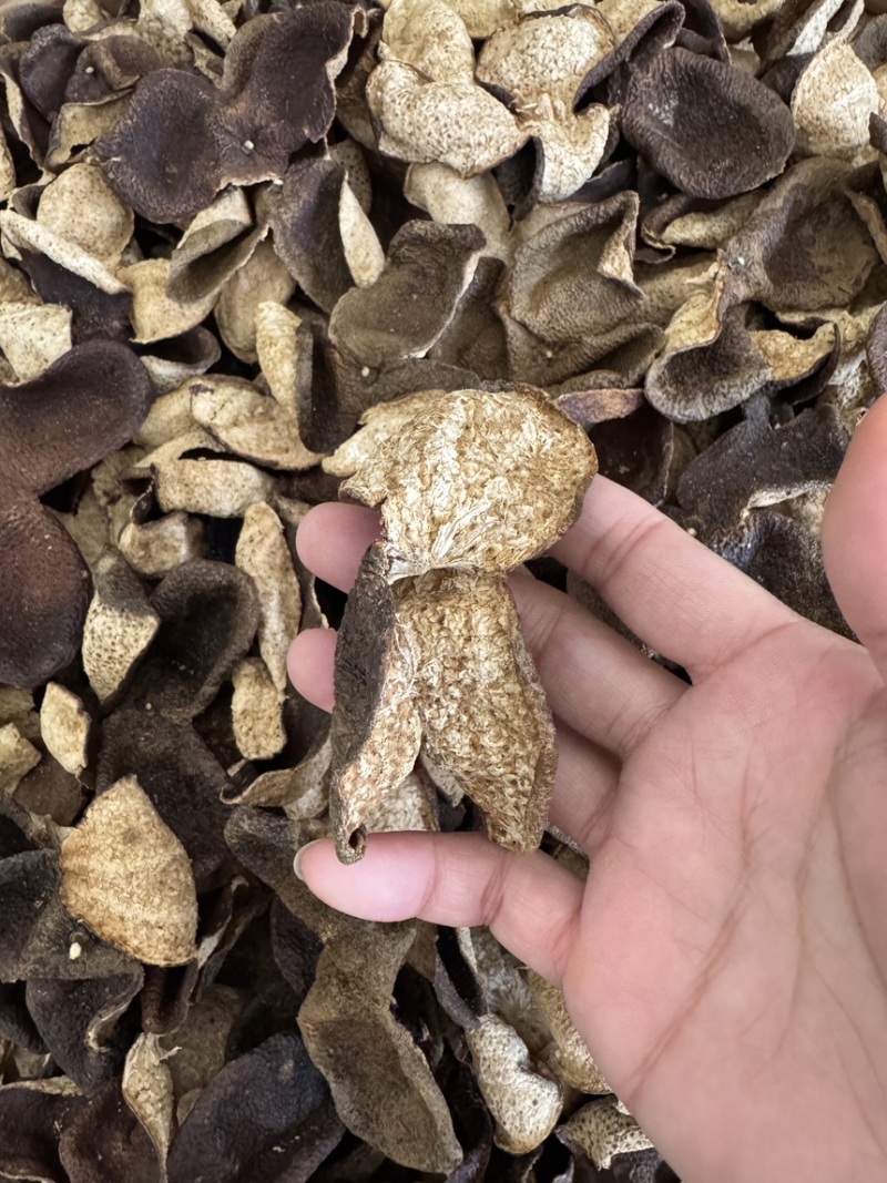 新会狗腩皮果农皮断皮批发价碎陈皮干仓老陈皮