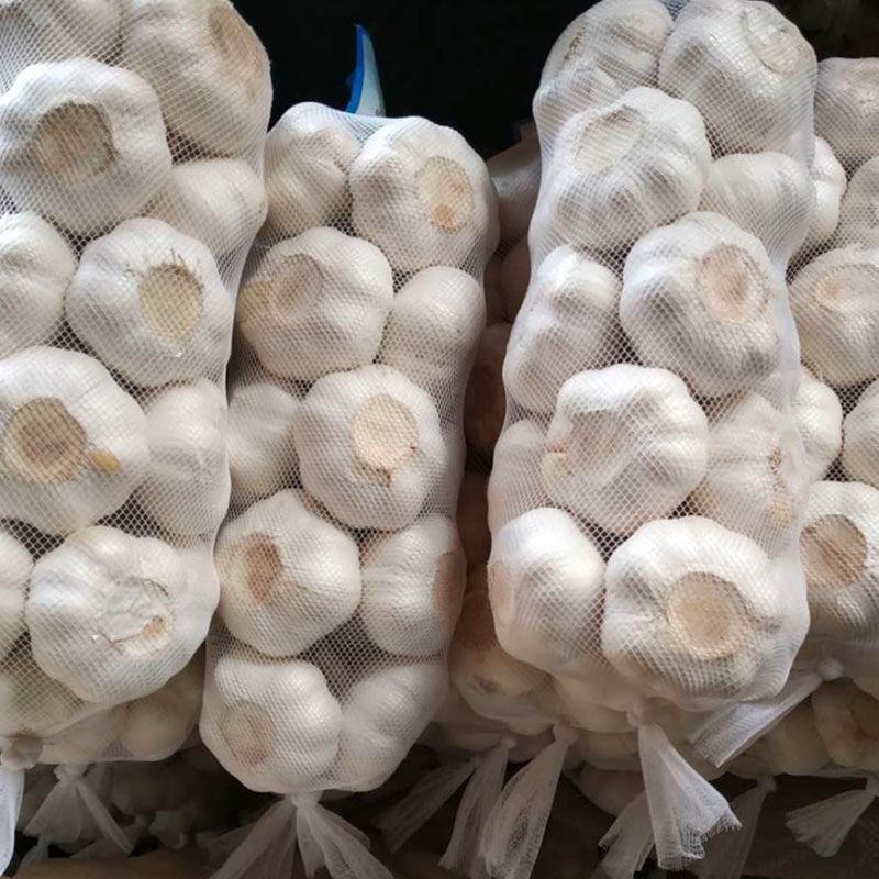 山东精品大蒜，紫皮，白皮蒜，出口贸易，一件代发，接单中