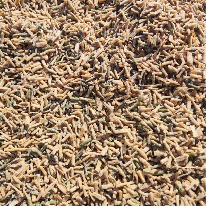 精品卜豆角加工厂直供