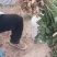 鲜花生