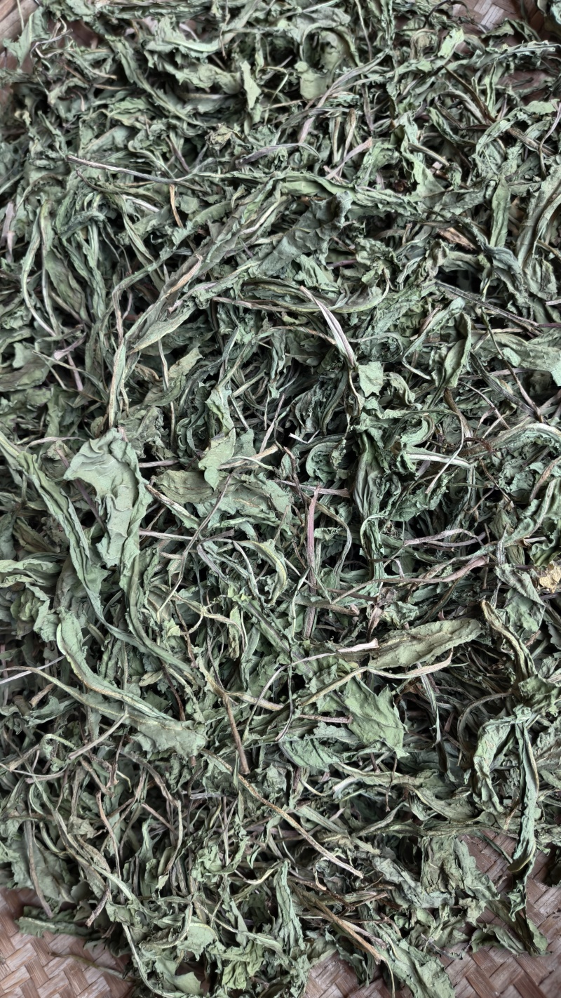 云南高原生态蒲公英干叶