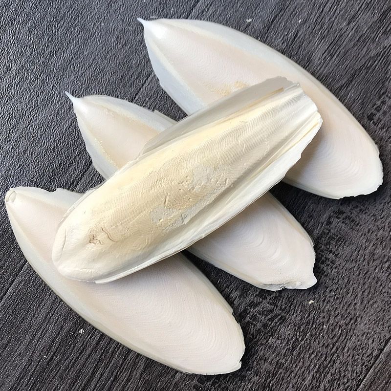 海螵蛸正品小墨鱼骨乌贼骨海蛸鸟用龟用宠物磨牙新货包邮打粉