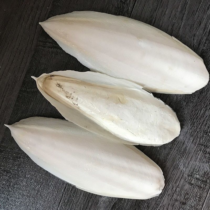 海螵蛸正品小墨鱼骨乌贼骨海蛸鸟用龟用宠物磨牙新货包邮打粉