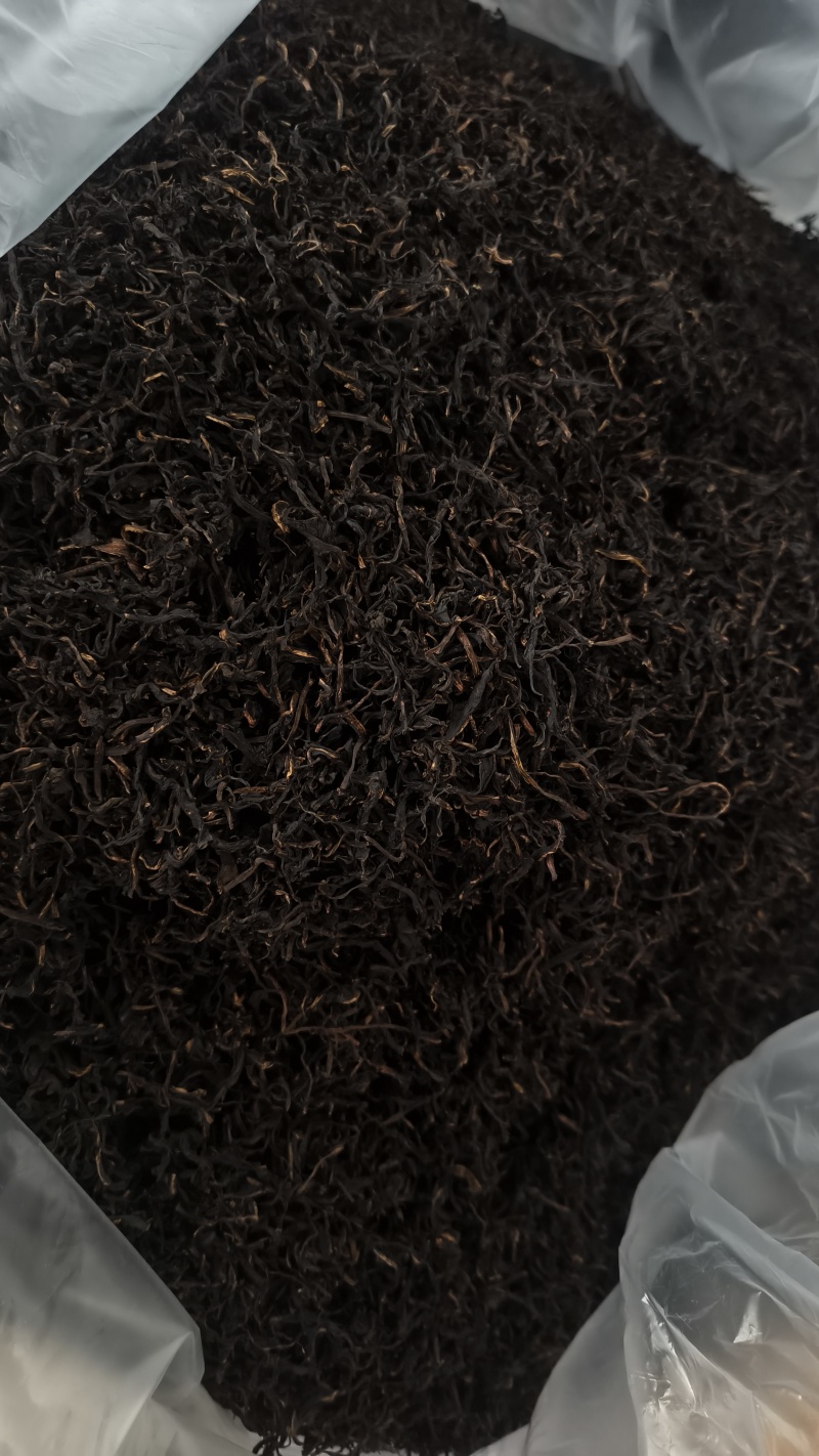 云南高原蒲公英红茶