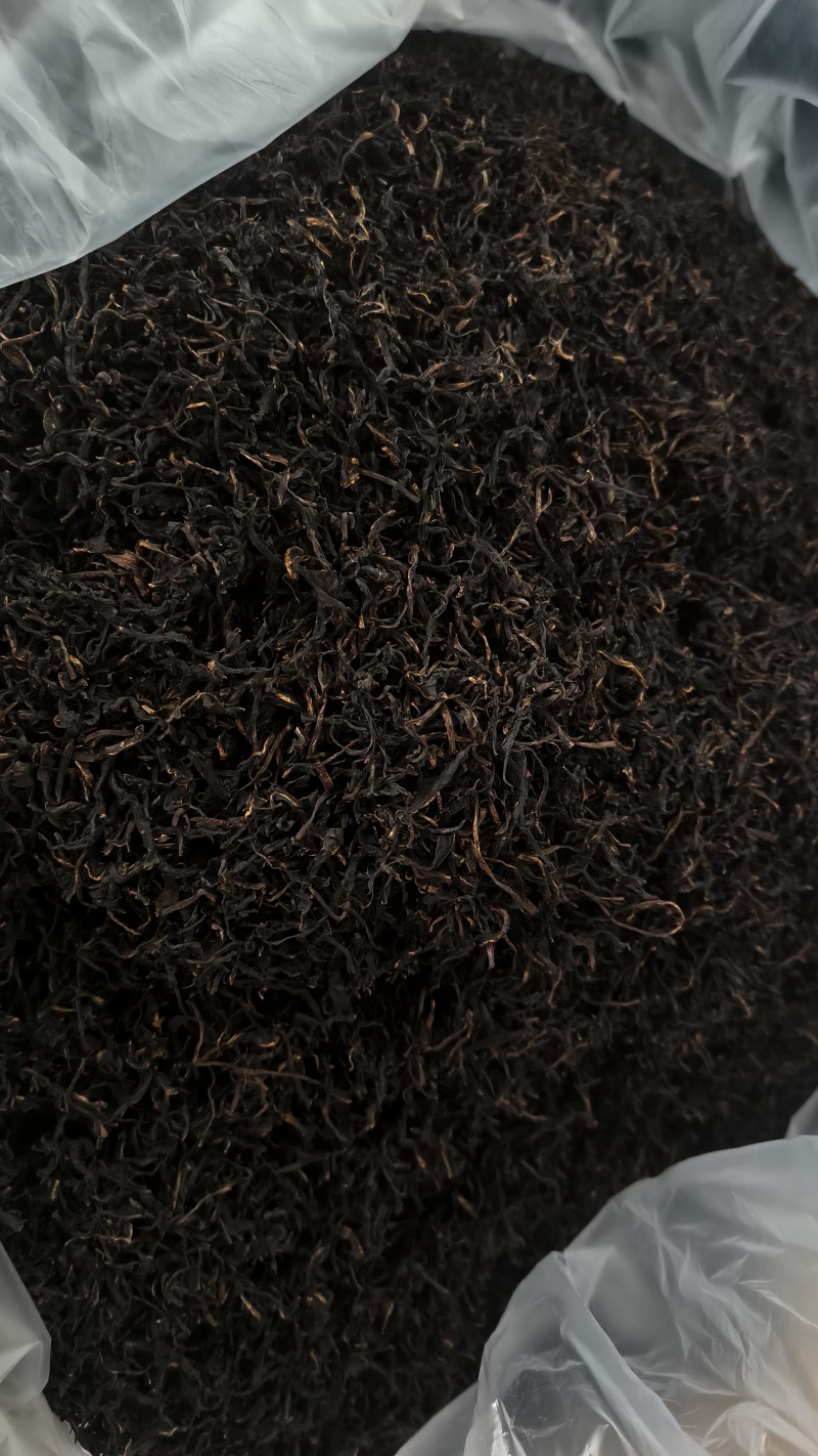 云南高原蒲公英红茶