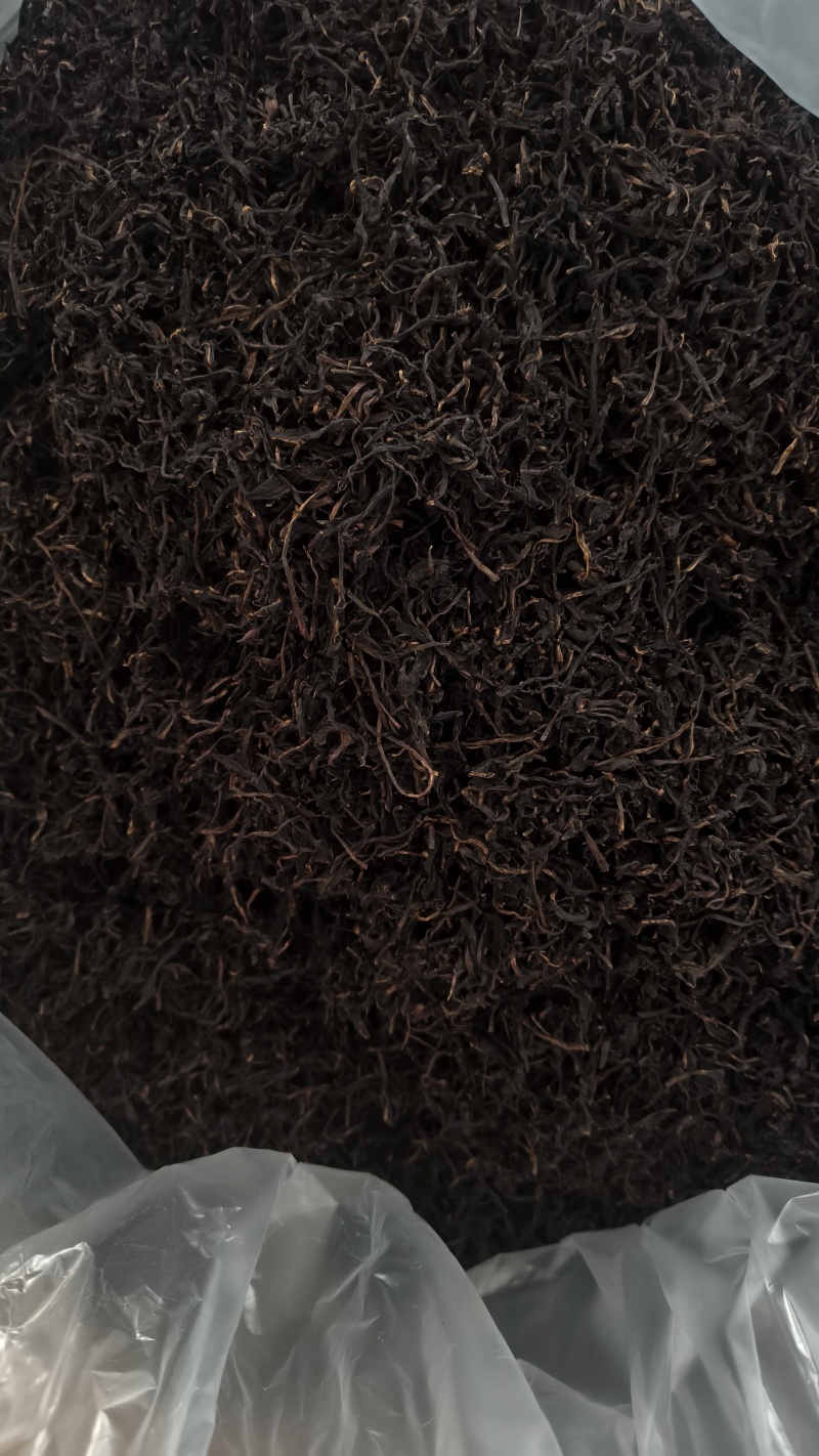 云南高原蒲公英红茶