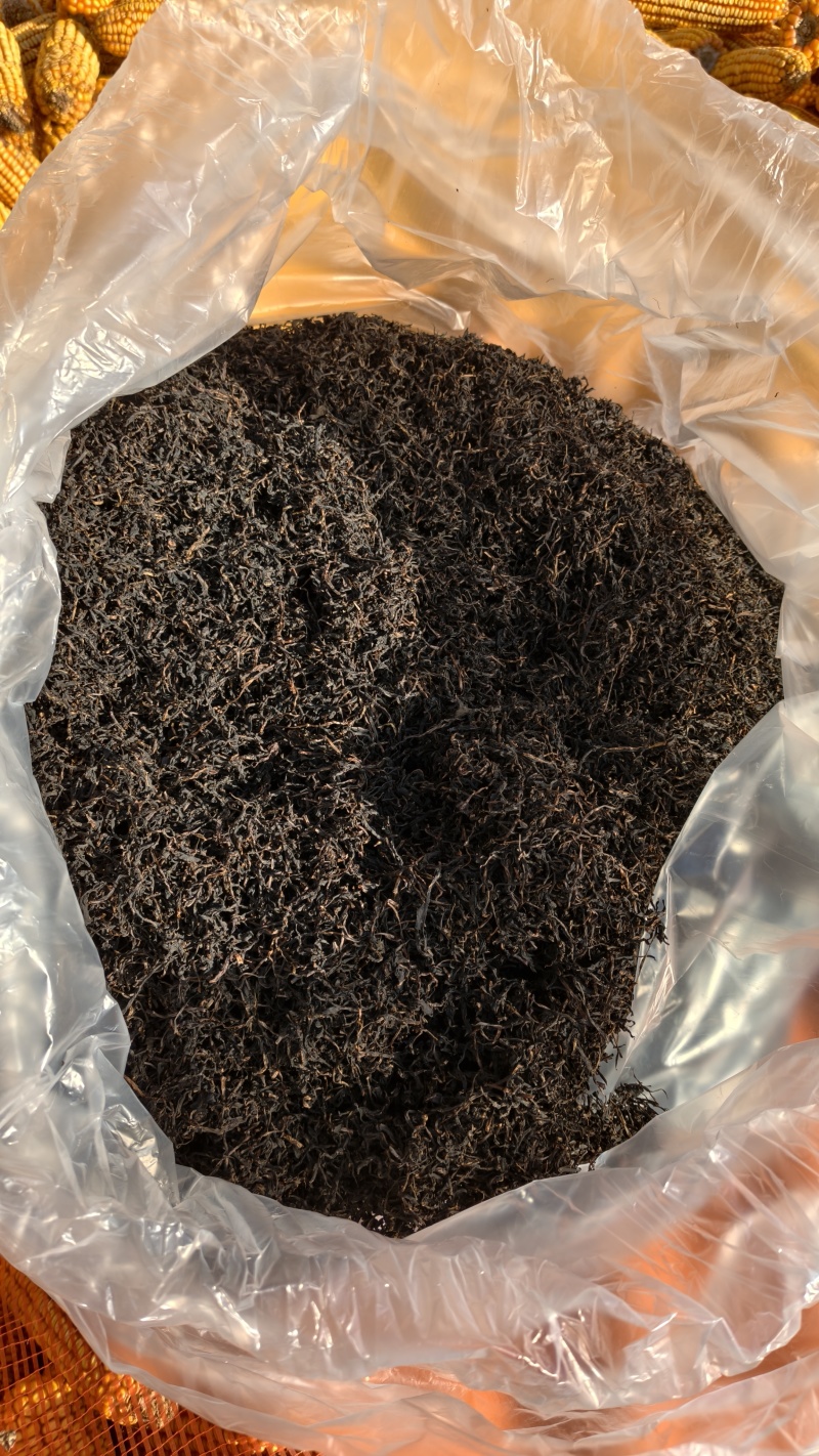 云南高原蒲公英红茶