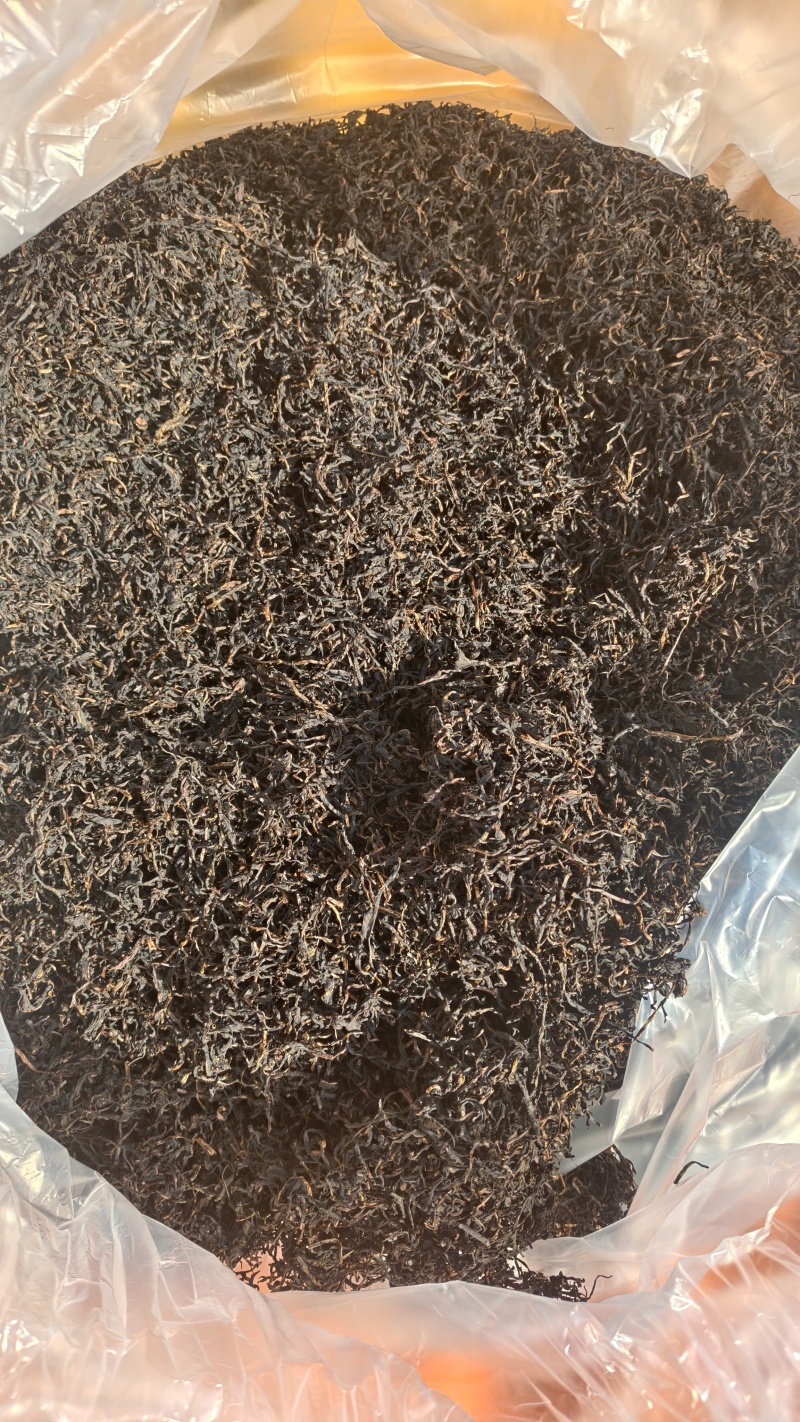云南高原蒲公英红茶