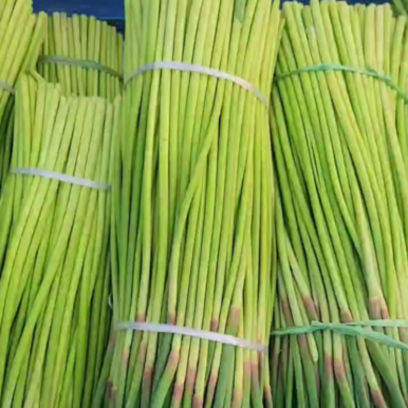 开封精品蒜薹大量上市，产地直发，实力代办，欢迎合作