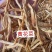 黄花菜地摊电商批发无硫磺黄花菜干金针菜农家特产黄花菜干