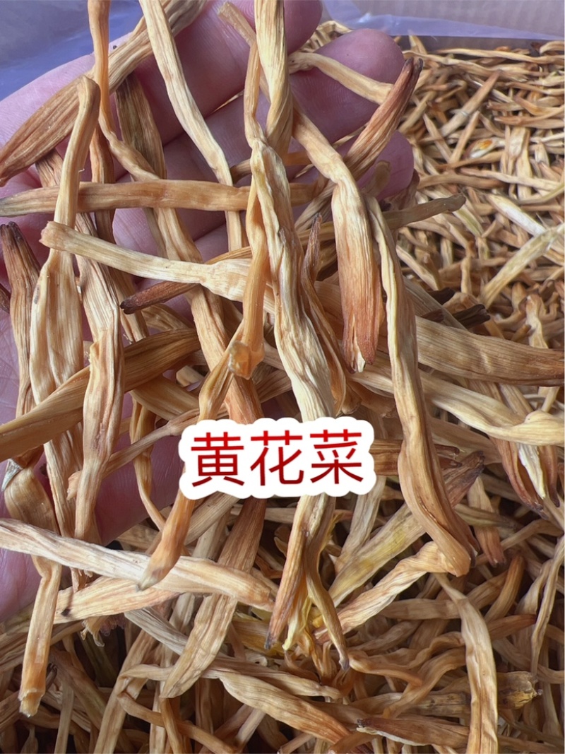 黄花菜地摊电商批发无硫磺黄花菜干金针菜农家特产黄花菜干