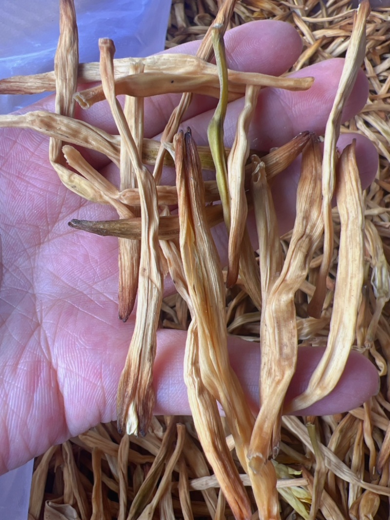 黄花菜地摊电商批发无硫磺黄花菜干金针菜农家特产黄花菜干