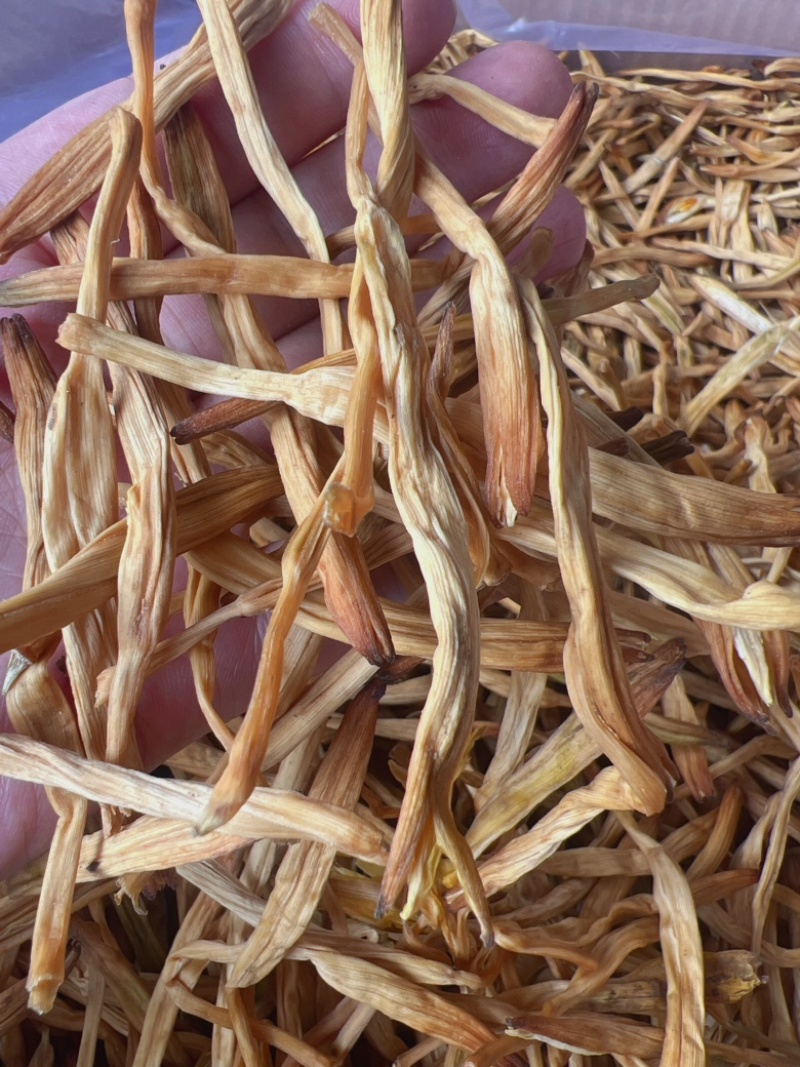 黄花菜地摊电商批发无硫磺黄花菜干金针菜农家特产黄花菜干