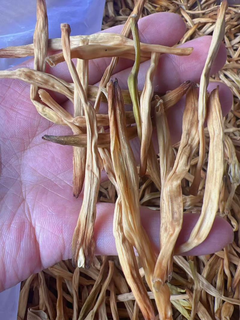 黄花菜地摊电商批发无硫磺黄花菜干金针菜农家特产黄花菜干