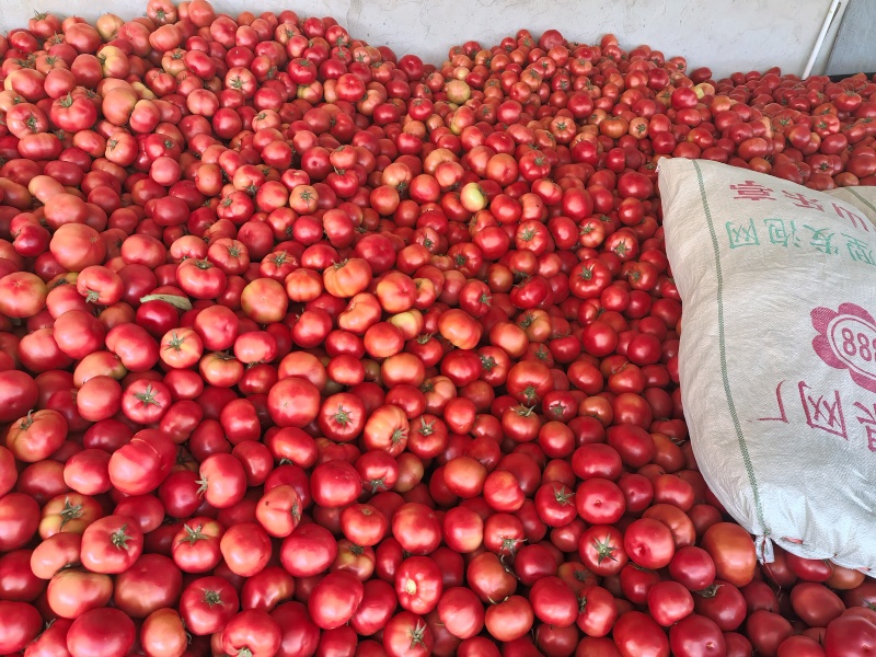 硬粉