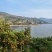 秭归水田坝伦晚九月红夏橙产地代办，整车采摘装车可视频看园