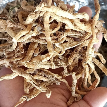 野生玉竹无硫熏自然手晒干