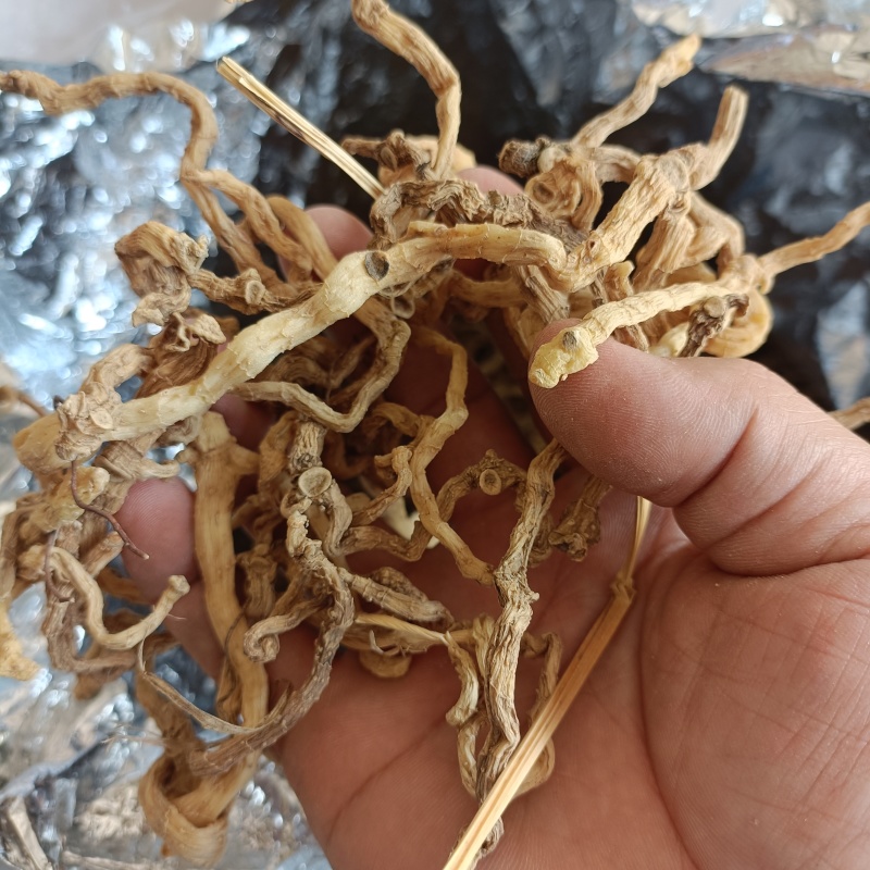 野生玉竹无硫熏自然手晒干