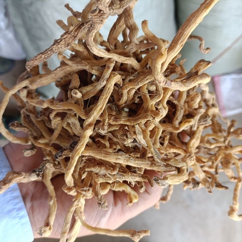 野生玉竹无硫熏自然手晒干