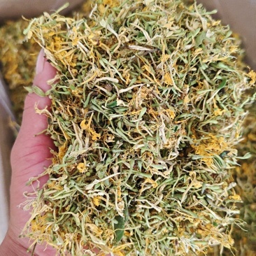 贵州安龙,金银花无硫无霉,质量保证产地直销大量供应