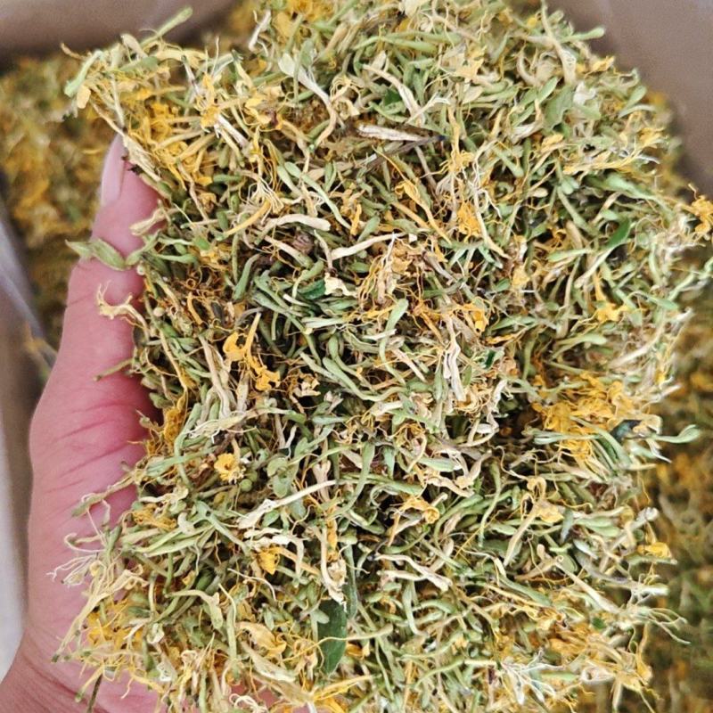 贵州安龙，金银花无硫无霉，质量保证产地直销大量供应
