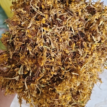 贵州精品金银花现货直发无硫无霉无杂质产地直销